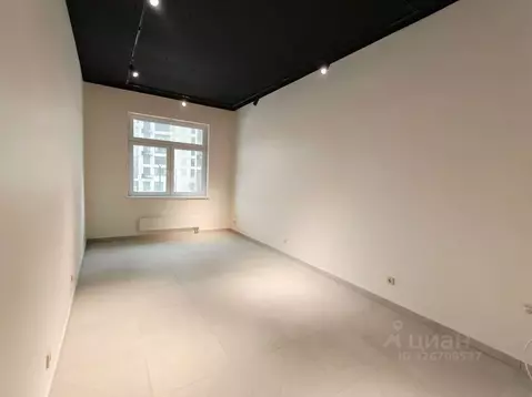 Помещение свободного назначения в Москва ул. Михайлова, 31А (31 м)