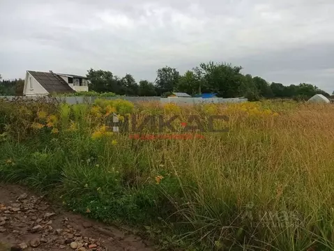 Участок в Ярославская область, Ярославский муниципальный округ, Ивушка ...