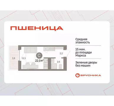 Студия Новосибирская область, Новосибирский район, Краснообск рп ...