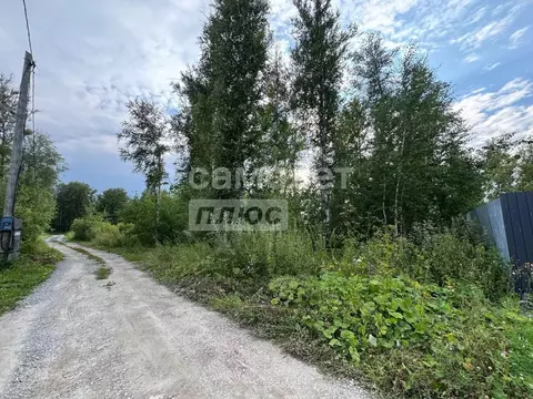 Участок в Тюменская область, Тюмень Зауралец СНТ, ул. Медиков (7.1 ...