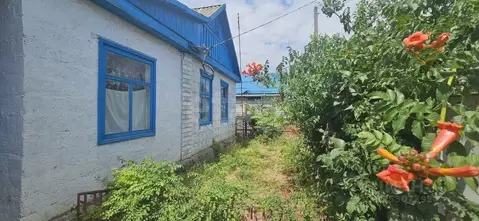 Дом в Краснодарский край, Белореченск Келермесская ул. (40 м)