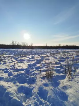 Участок в Тюменская область, Тюмень Березняковский мкр,  (7.4 сот.)