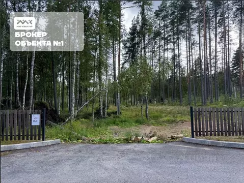 Участок в Ленинградская область, Приозерский район, Раздольевское ...