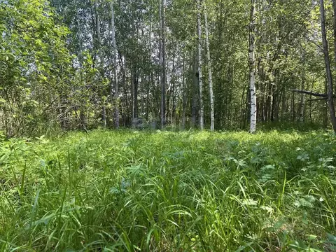 Участок в Ленинградская область, Киришский район, Кусинское с/пос, ...