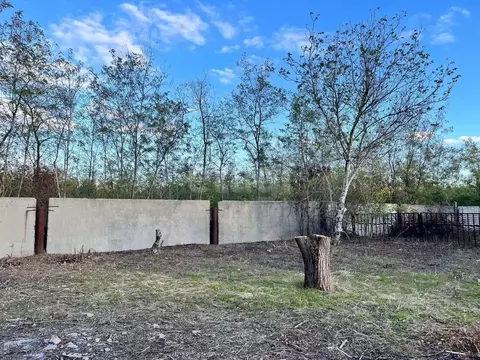 Участок в Ростовская область, Аксайский район, Рассветовское с/пос, ...