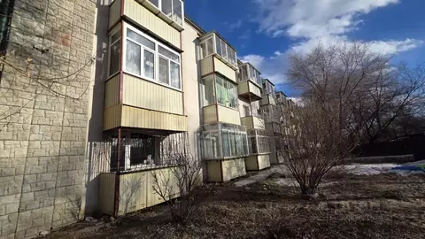 Студия Амурская область, Благовещенск Серышевский пер., 16 (18.9 м)