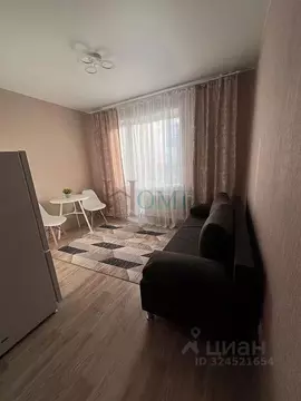 Студия Новосибирская область, Новосибирск ул. Титова, 255/2 (17.0 м)