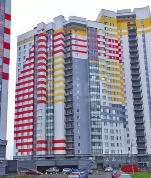 Студия Санкт-Петербург Усть-Славянка тер., просп. Советский, 36к2 ...