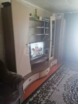 Дом в Алтай, с. Чоя ул. Социалистическая, 8 (15 м)