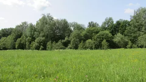 Участок в Московская область, Рузский муниципальный округ, с. ...