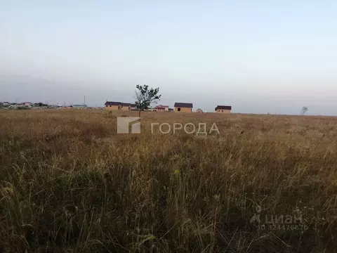 Участок в Крым, Черноморский район, с. Новосельское, Таврия СНТ ул. ...