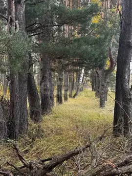 Участок в Брянская область, Брянский район, Свенское с/пос, пос. Свень ...