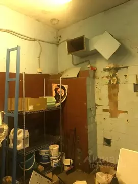 Помещение свободного назначения в Санкт-Петербург ул. Черняховского, ...