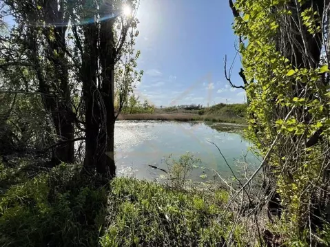 Участок в Ставропольский край, Предгорный муниципальный округ, с. ...