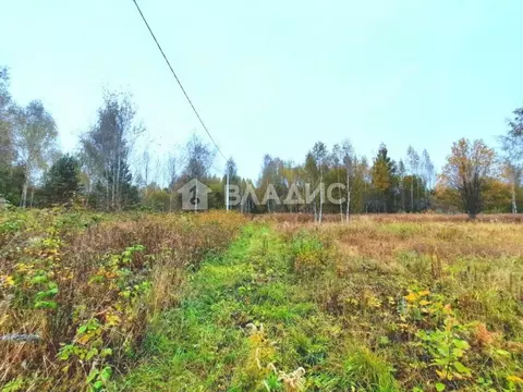 Участок в Владимирская область, Владимир сад Заречье, 44 (10.0 сот.)