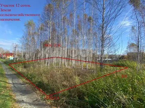 Участок в Новосибирская область, Новосибирский район, Раздольненский ...