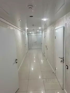 Помещение свободного назначения в Москва Привольная ул., 56 (240 м)