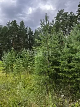 Участок в Свердловская область, Сысертский муниципальный округ, ЖКХ ...