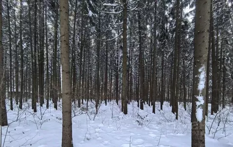 Участок в Московская область, Одинцовский городской округ, д. ...