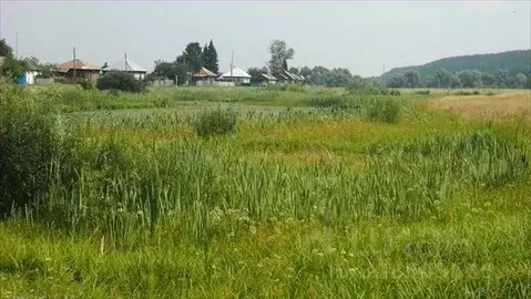 Участок в Алтайский край, Бийский район, пос. Мальцева Курья ул. ...