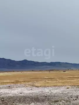 Участок в Алтай, с. Кош-Агач пл. Ленина (3347.06 сот.)