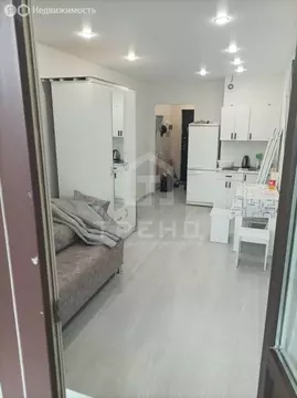 Квартира-студия: Мурино, Воронцовский бульвар, 19к1 (24 м)