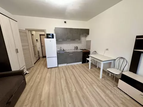 Студия Санкт-Петербург ул. Среднерогатская, 14к1 (24.0 м)