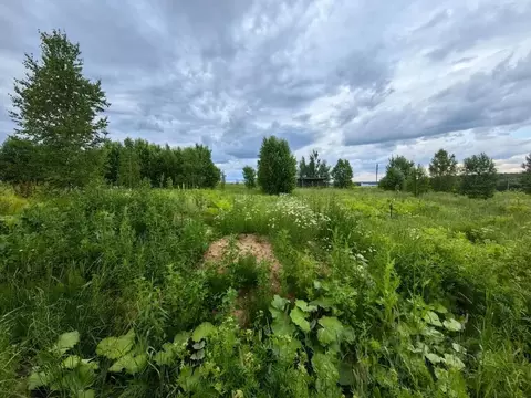 Участок в Москва д. Ширяево, аллея Березовая, 25 (15.0 сот.)