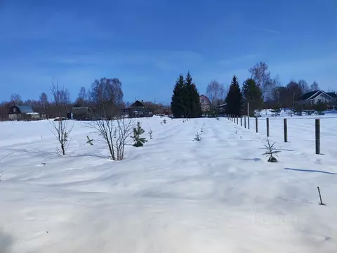 Участок в Московская область, Лотошино муниципальный округ, д. Клетки  ...