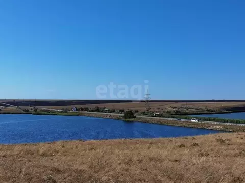 Участок в Крым, Черноморский район, Новоивановское с/пос, Звездный СНТ ...