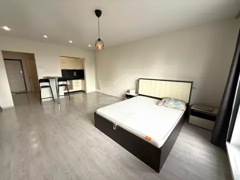 Студия Новосибирская область, Новосибирск ул. Виктора Шевелева, 24 ...