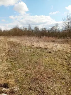 Участок в Ленинградская область, Кингисеппский район, Большелуцкое ...