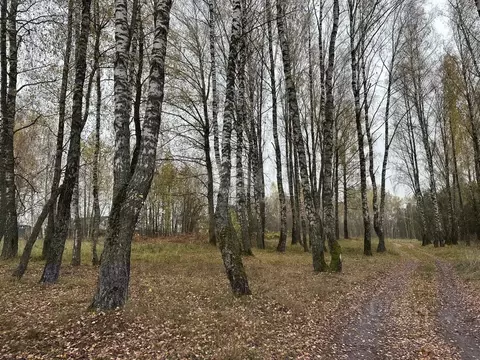 Участок в Брянская область, Брянский район, Новодарковичское с/пос, д. ...