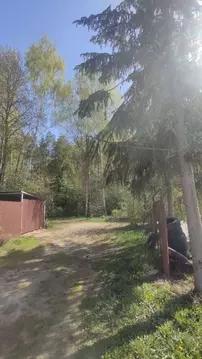 Участок в Курская область, Курский район, Щетинский сельсовет, ...