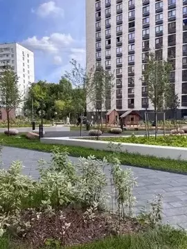 Студия Москва ул. Академика Павлова, 38к1 (27.0 м)