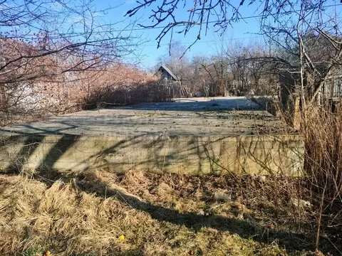 Участок в Калининградская область, Калининград Чайка СНТ, ул. Садовая, ...