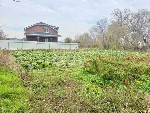 Участок в Краснодарский край, Анапа муниципальный округ, Гостагаевская ...