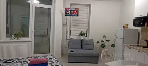 Студия Пермский край, Пермь ул. Барамзиной, 32 (30.0 м)