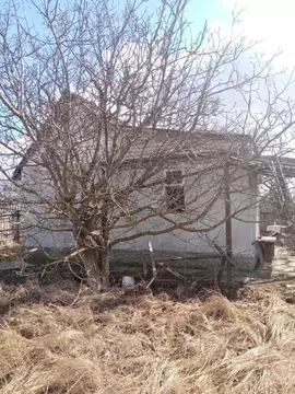 Дом в Курская область, Курский район, Пашковский сельсовет, Русское ...