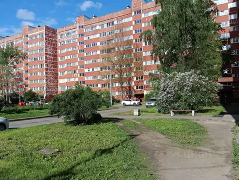 3-к кв. Санкт-Петербург, Санкт-Петербург, Красное Село Стрельнинское ...