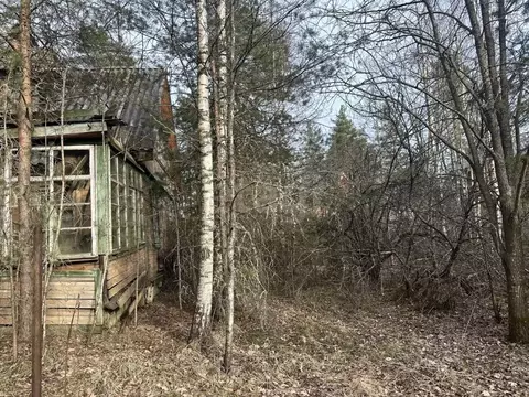 Участок в Ленинградская область, Приозерский район, Сосновское с/пос, ...