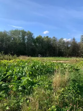 Участок в Тверская область, Старицкий муниципальный округ, д. Заречье  ...