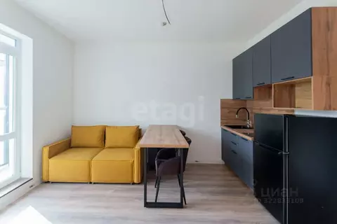 Студия Ленинградская область, Всеволожск ул. Евграфова, 11 (25.8 м)