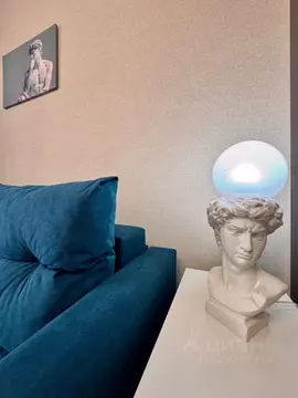 Студия Санкт-Петербург пос. Стрельна, просп. Буденного, 26к5 (24.7 м)