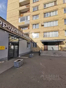 Студия Красноярский край, Красноярск Медицинский пер., 16а (23.0 м)
