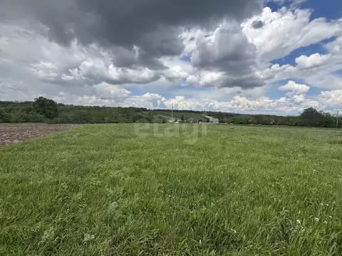 Участок в Белгородская область, Белгородский район, Крутологское ...