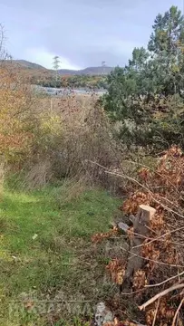 Участок в Краснодарский край, Новороссийск Можжевельник СНТ, 13 (7.2 ...