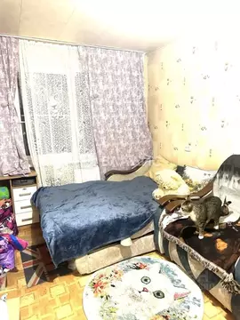 2-к кв. Санкт-Петербург Светлановский просп., 115К2 (43.9 м)