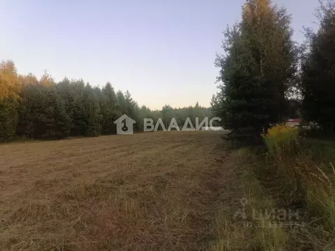 Участок в Владимирская область, Судогодский район, Головинское ...