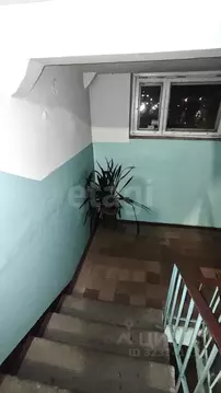 3-к кв. Архангельская область, Архангельск Ленинградский просп., 358к3 ...